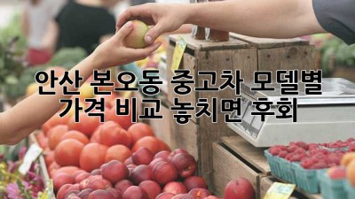 🚗 안산 본오동 중고차, 모델별 가격 비교! 놓치면 후회! 😱