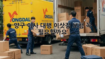 양구 이사 대행: 이삿짐 보험, 꼭 필요할까요?